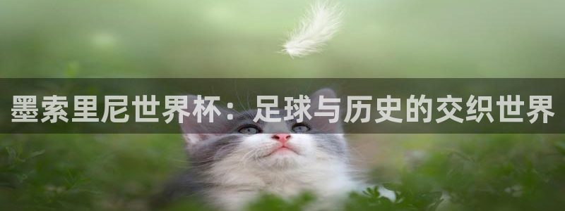 中国 世界杯:墨索里尼世界杯:足球与历史的交织世界