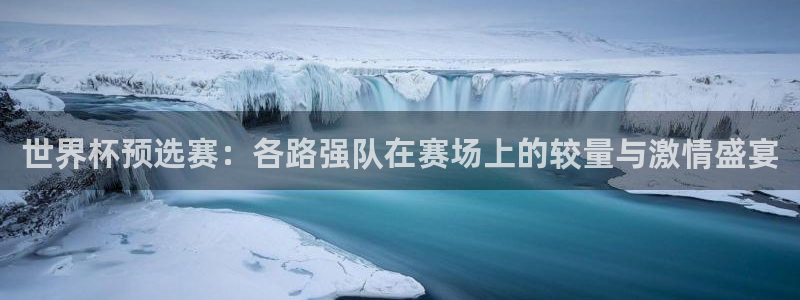 世界杯预选赛亚洲:世界杯预选赛:各路强队在赛场上的较量与激情盛宴