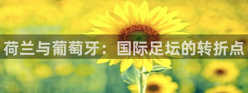 世界杯足球比赛:荷兰与葡萄牙:国际足坛的转折点